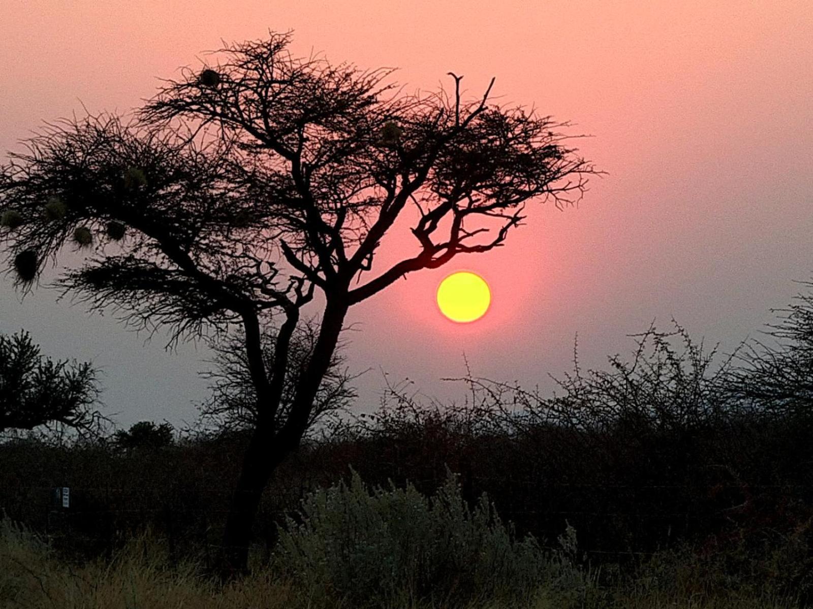 West Nest Lodge Gobabis Екстериор снимка